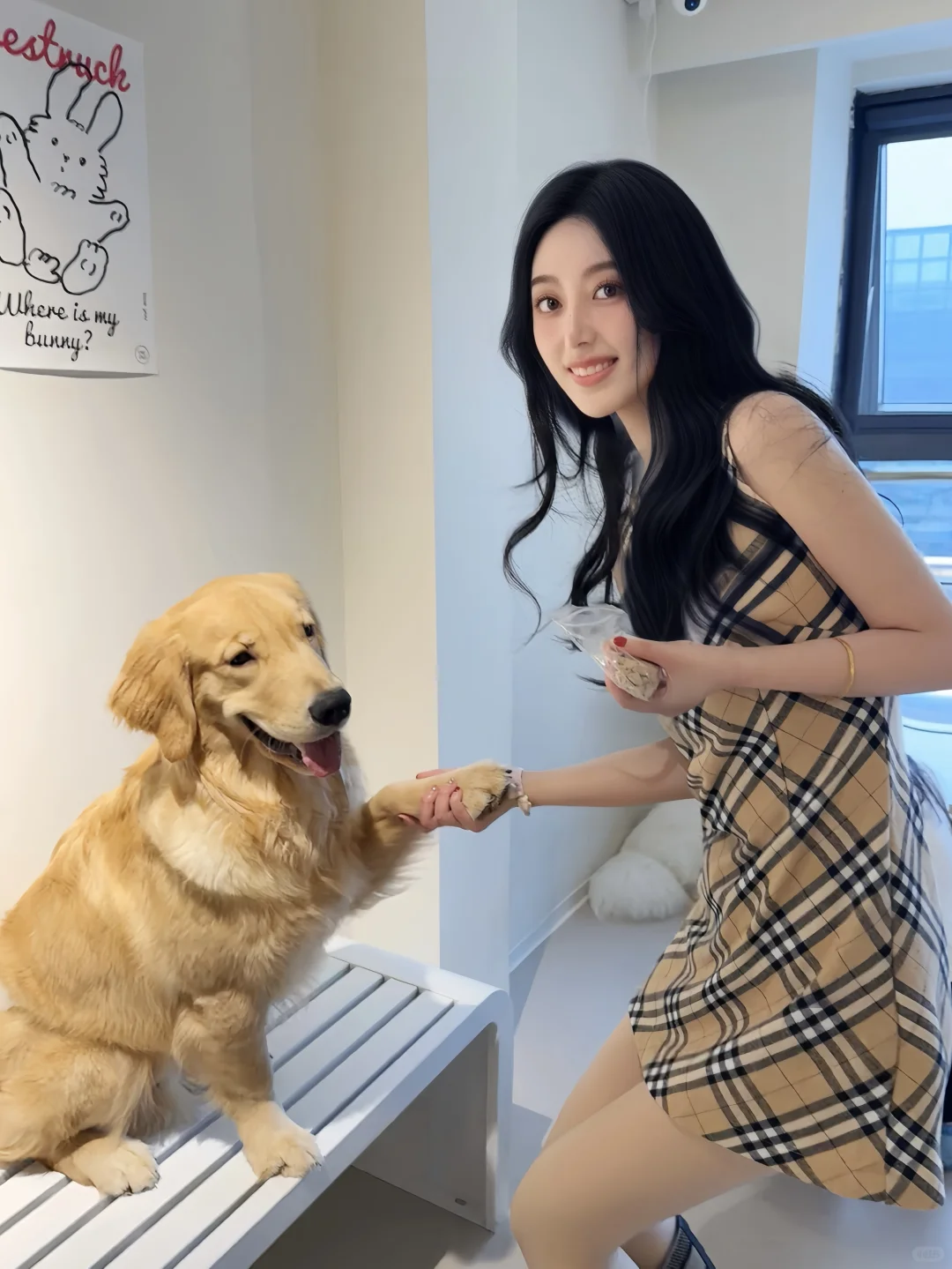 桥本环娜 小狗的爱永远热烈- 小红书