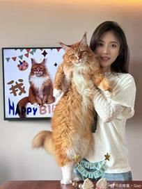 高维蔓 乐高~ 生日快乐 陪伴你第101天了，我们也认识101天了