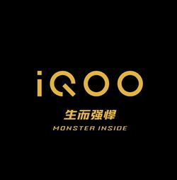 iQOO是vivo公司于2019年3月1日在深圳发布的手机，于2019年3月6日正式开售。