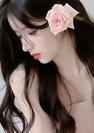 一只丸子啾：花开年年#宅家拍