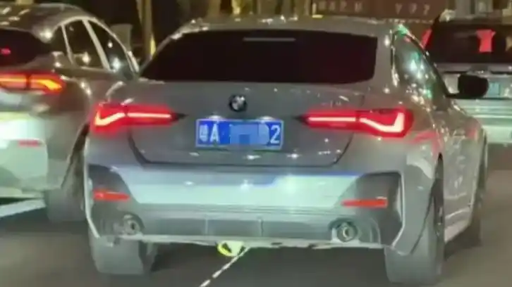 警方回应宝马拖行小猫致死:系意外
