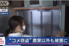 日本人在米袋里放GPS防偷