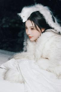 弯弯：长白山一只九尾白狐#雪狐 #雪天拍照 #九尾妖狐 #长白山