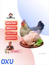 德子土鸡