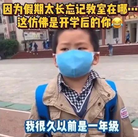 哈哈！小学生返校懵圈：“我很久以前是一年级的……”