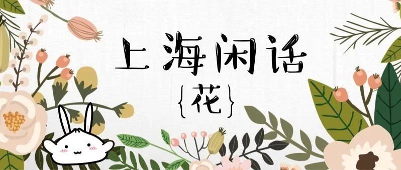 春来花开！上海话里的那些“花”，分别有什么特别含义？
