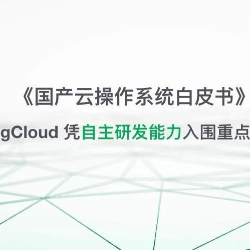 《国产云操作系统白皮书》发布  青云QingCloud 凭自主研发能力入围重点厂商竞争力矩阵
