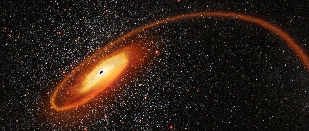 神秘的中等质量黑洞终于现身了？