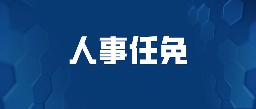 广东省政府2020年3月人事任免