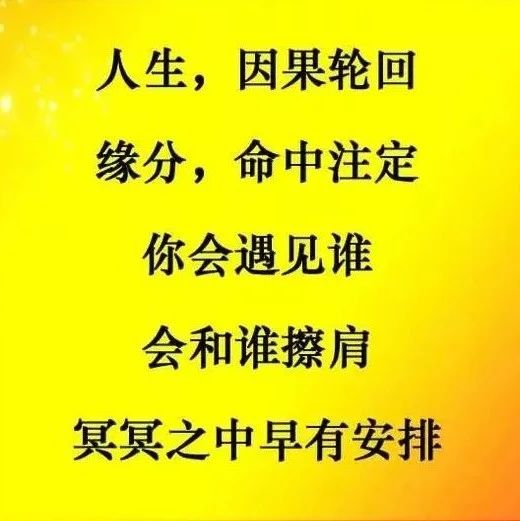 无缘留不住，有缘赶不走