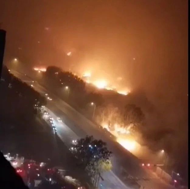 青岛山火复燃，蔓延到主干道旁的树也烧起来