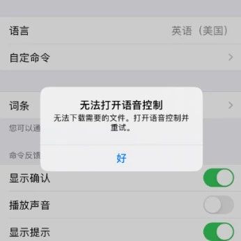 Phone 11提示“无法打开语音控制”的解决办法！