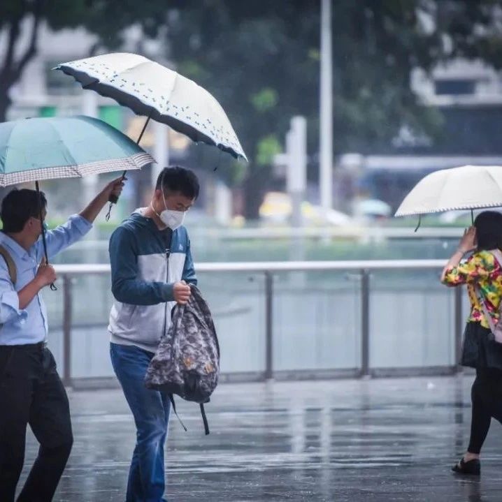 最低13℃！广州“过山车式”降温又双叒来了，这次湿冷要持续到……