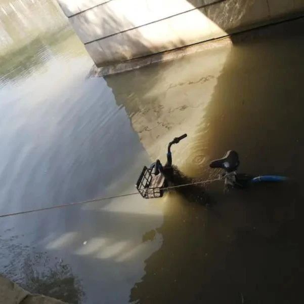 两男子丢6辆共享单车进河“游泳”，被拘留