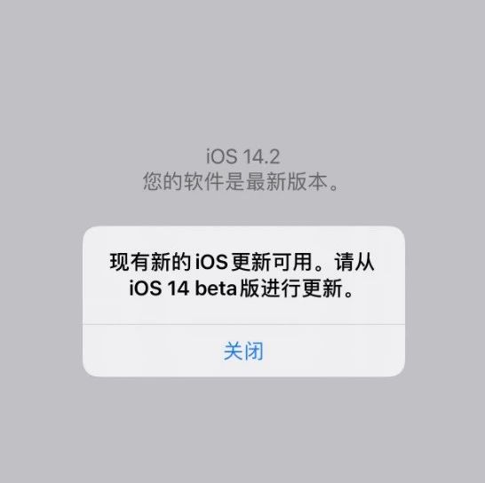 iOS 14.2 反复出现更新提示，需等待苹果修复