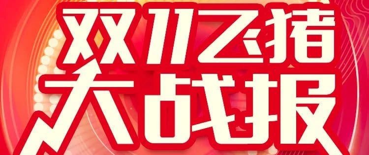 因为相信所以看见，2020年天猫双11飞猪战报出炉