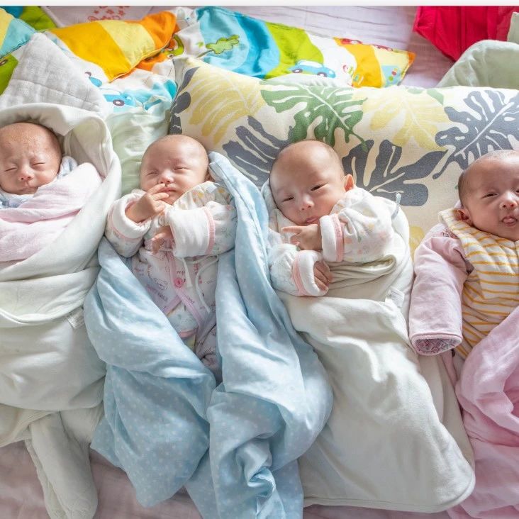 湖北女子自然受孕诞下四胞胎！三次怀孕失败第四次怀双龙双凤