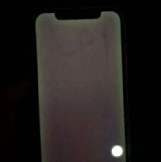 苹果客服回应 iPhone 12 屏幕“发绿”问题：后续更新系统解决