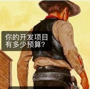 趣图：你的项目预算有多少？