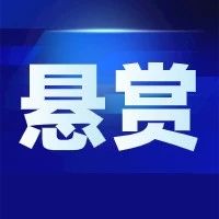 最高奖励1万元！看到这4人赶紧报警→