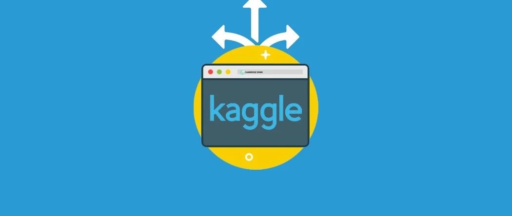 Kaggle年度报告出炉：数据科学家年轻多金，薪资近百万