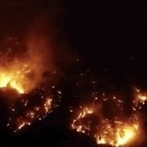 致19人牺牲！西昌森林火灾调查结果公布