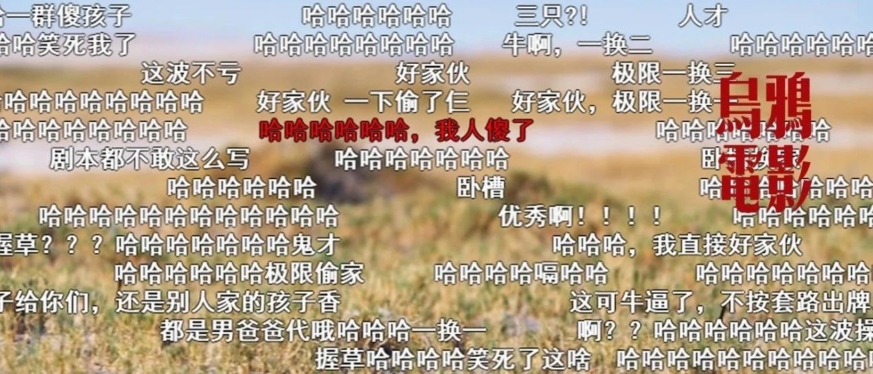 B站开分9.8，开播弹幕炸裂，又哭又笑太上头了！