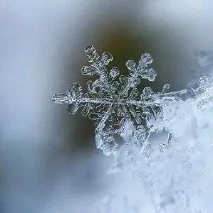 今日大雪，冰天雪地阴气盛，学点规矩好过冬！这8个伤身事，别再做