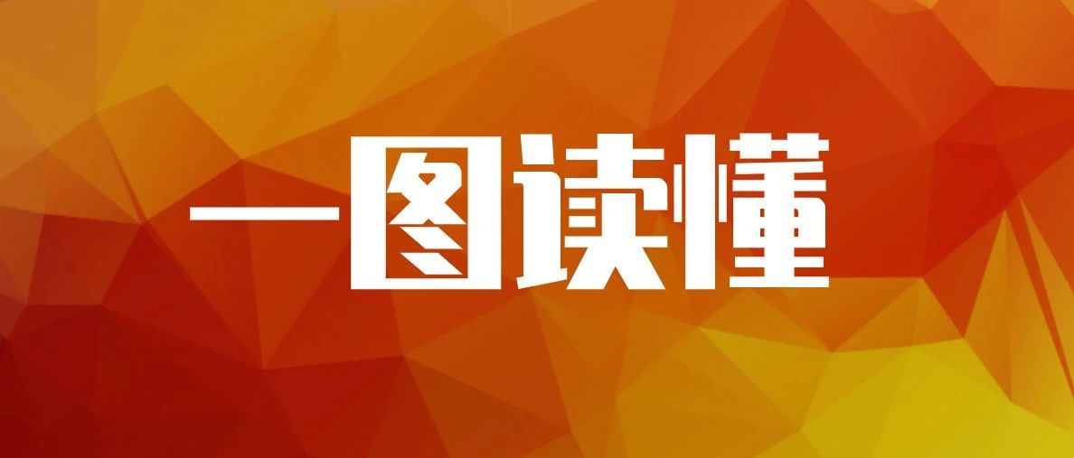 他们这一年的成绩单，你打多少分？