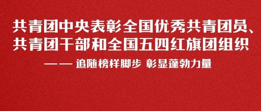 追随榜样脚步  彰显蓬勃力量丨全国两红两优