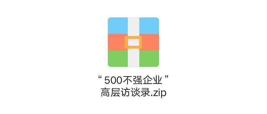 “500不强企业”高层访谈录.zip