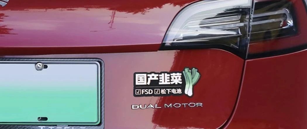 特斯拉降价为何苦了自主新能源车？