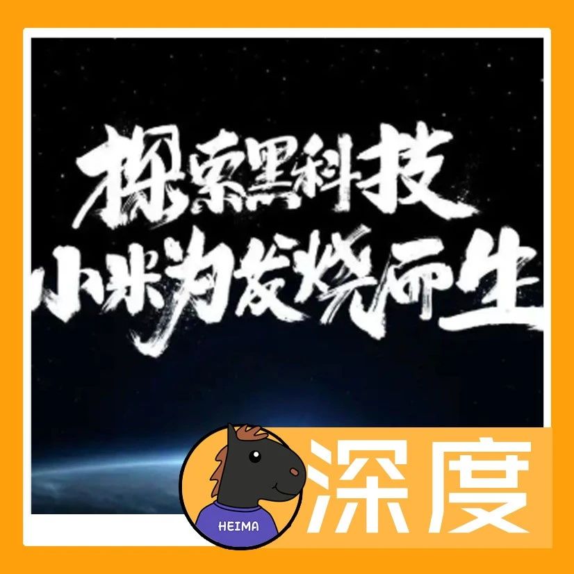 深度：小米真的没有技术吗？