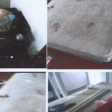 杭州95后姑娘带2条贵宾犬租房，3个月后，房东打开门傻了眼……