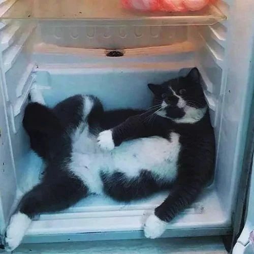冰箱里散发着奇怪的味道？是时候来次“大扫除”了！