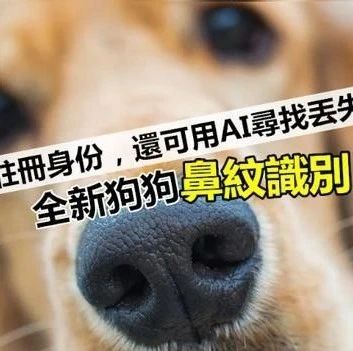 支付宝开放宠物鼻纹识别技术：精准识别猫狗身份