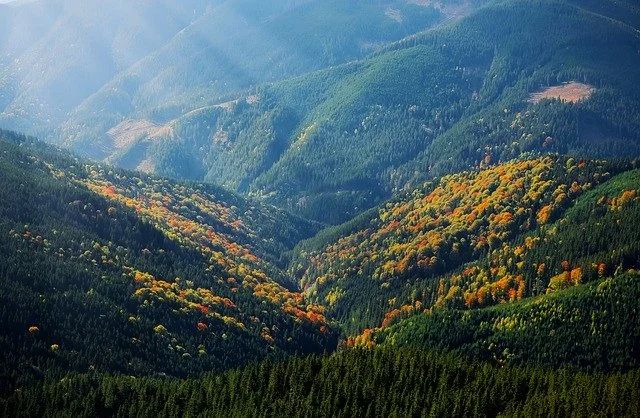 高手修炼5则：眼里有高山，胸中有丘壑