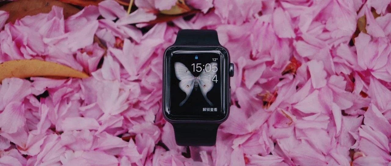 Apple Watch SE 或明年问世 / 张朝阳回应一天睡 4 小时 / 《黑神话：悟空》演示视频引热议