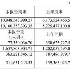 兆易创新上半年净利3.63亿元，同比增长93.73%！对思立微增资1亿，发力AI推理信号处理器研发