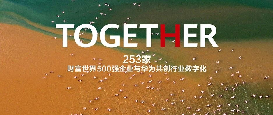 踏浪同行！253家财富世界500强企业携手华为共创行业数字化