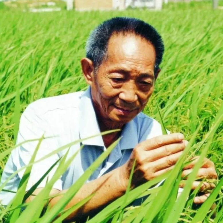 今天，袁隆平让你来种地