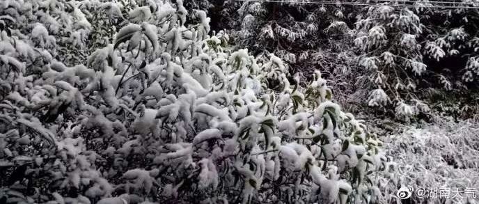 湖南的雪呢？别急！已经来了！