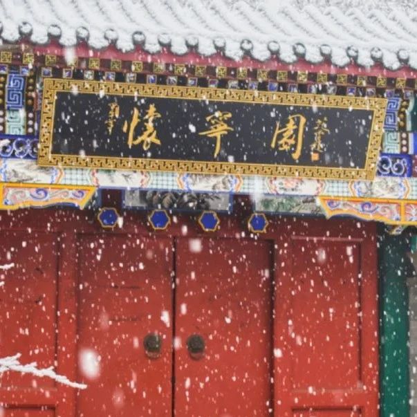 2021年北京的第一场雪，来了！