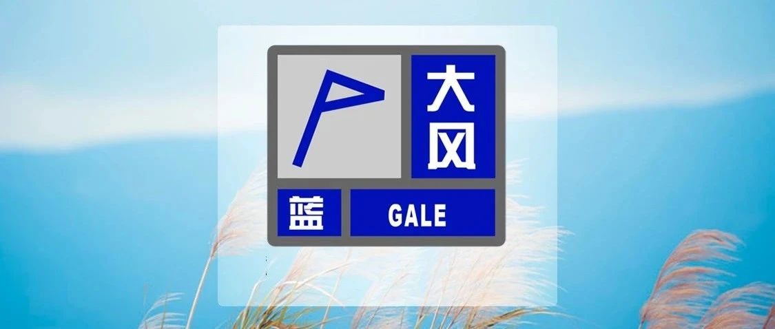 注意！上海刚刚发布大风蓝色预警