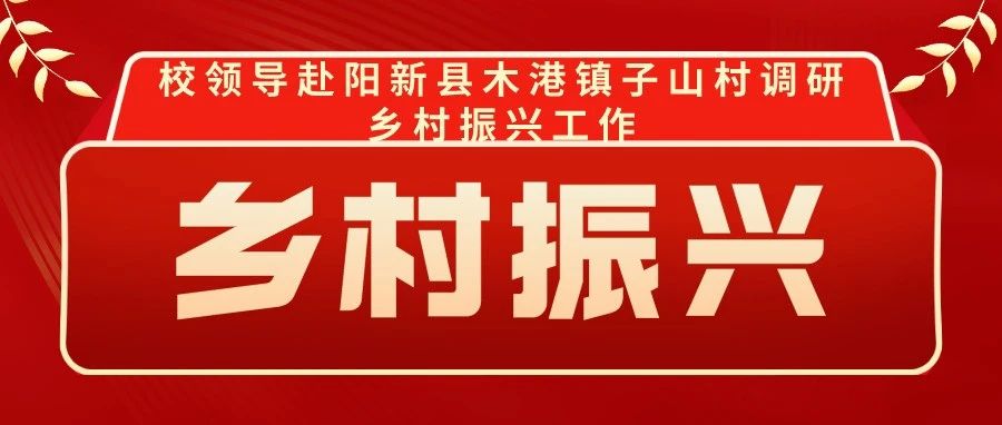 校领导赴阳新县木港镇子山村调研乡村振兴工作