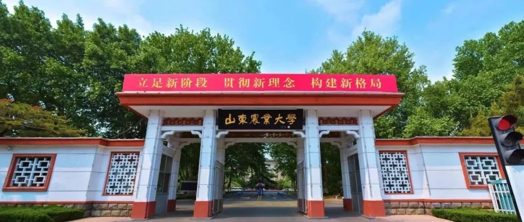 115岁，山东农业大学，生日快乐！