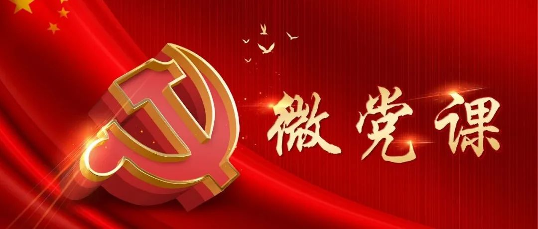 习近平在庆祝中国共产党成立100周年大会上的讲话（三）