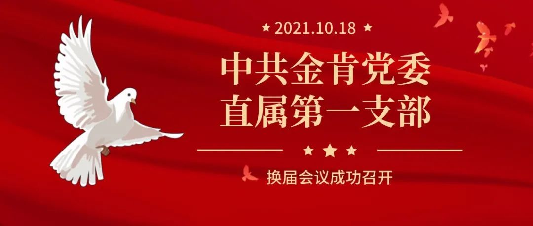 中共金肯党委直属第一支部换届会议成功召开