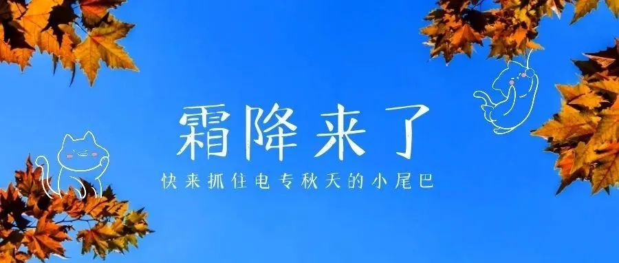 霜降|快来抓住电专秋天的小尾巴