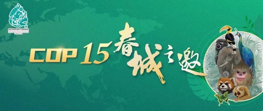 【解密云南】COP15云南宣传片发布！